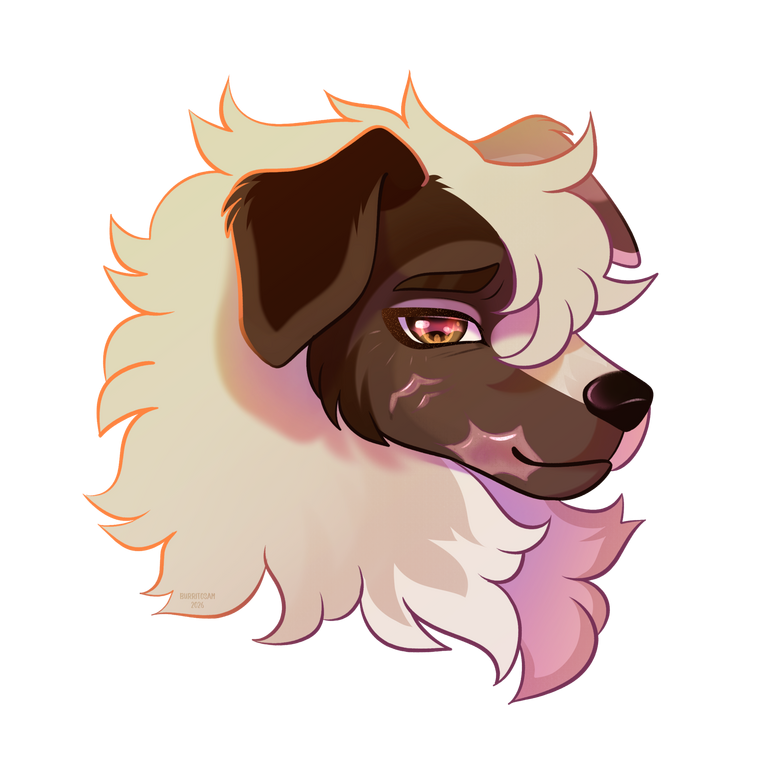 Cel Shading